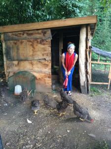 Janet looking lovely among the hens